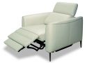 Fabric/Leather Armchair with Optional Recliner, Metal Legs and Adjustable Headrest - Dianthus
